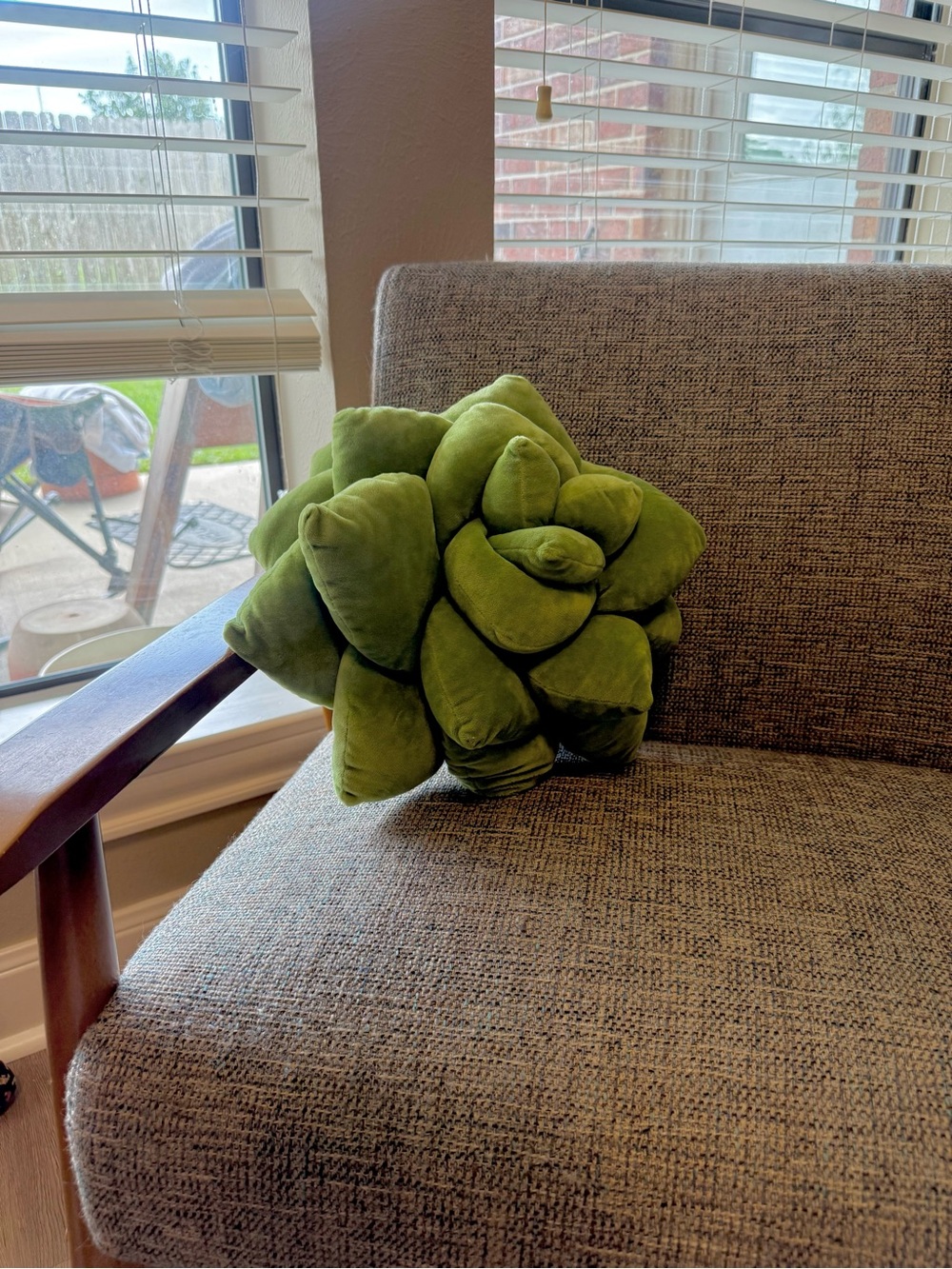 Green Velvet Lil' Pop Succulent Plush Pillow – Olive Green- Green Philosophy Co